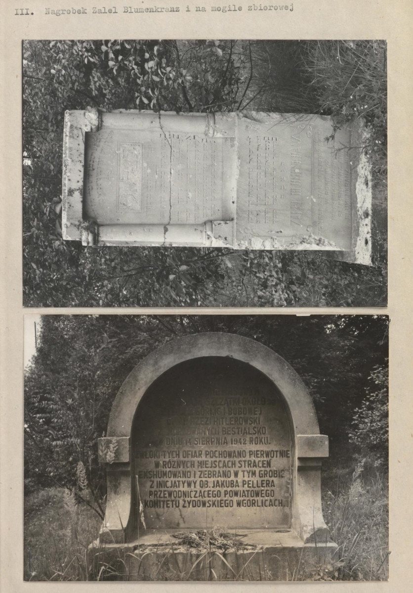 Monografie cmentarzy, skan nr 14