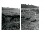 KC - Karta cmentarza, skan nr 12
