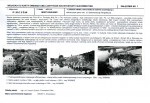 Karta biała, skan nr 5