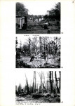 Karta cmentarza, skan nr 10
