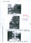KC - Karta cmentarza, skan nr 3