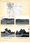 Karta cmentarza, skan nr 4