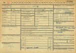Karta zielona, skan nr 1