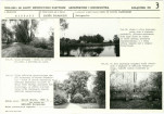 KB - Karta biała, skan nr 11