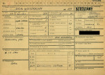 Karta zielona, skan nr 1
