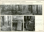 Karta cmentarza, skan nr 5