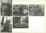 Karta cmentarza, skan nr 6