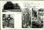 Karta cmentarza, skan nr 4