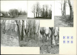 Karta cmentarza, skan nr 12
