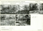 Karta cmentarza, skan nr 5