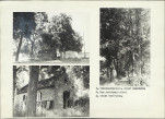KC - Karta cmentarza, skan nr 6