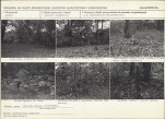 Karta cmentarza, skan nr 5