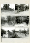 KC - Karta cmentarza, skan nr 4