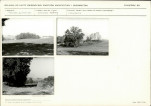 Karta cmentarza, skan nr 5