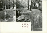 Karta cmentarza, skan nr 8