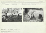 Karta cmentarza, skan nr 7