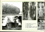 Karta cmentarza, skan nr 4