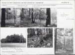 Karta cmentarza, skan nr 5