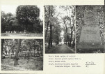 Karta cmentarza, skan nr 4