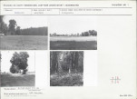 Karta cmentarza, skan nr 6