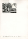 KC - Karta cmentarza, skan nr 5