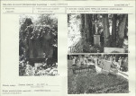 Karta cmentarza, skan nr 6