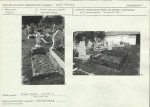 Karta cmentarza, skan nr 7