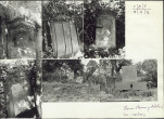 KC - Karta cmentarza, skan nr 7