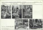 Karta cmentarza, skan nr 9