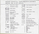 Karta cmentarza, skan nr 4
