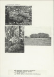 KC - Karta cmentarza, skan nr 5
