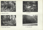 KC - Karta cmentarza, skan nr 5