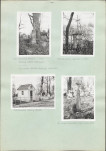Karta cmentarza, skan nr 21