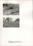 KC - Karta cmentarza, skan nr 5