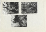 KC - Karta cmentarza, skan nr 4