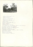 Karta cmentarza, skan nr 9