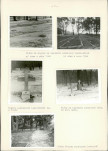 KC - Karta cmentarza, skan nr 6