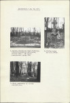 Karta cmentarza, skan nr 5