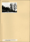 Karta cmentarza, skan nr 5