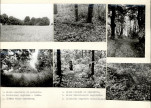 KC - Karta cmentarza, skan nr 4