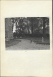 Karta cmentarza, skan nr 7