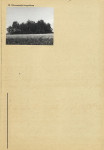 KC - Karta cmentarza, skan nr 4