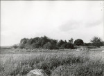 Karta cmentarza, skan nr 5
