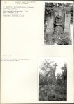 KC - Karta cmentarza, skan nr 7
