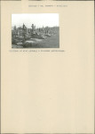 Karta cmentarza, skan nr 15