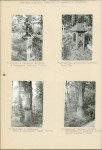 Karta cmentarza, skan nr 28