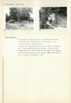 KC - Karta cmentarza, skan nr 4