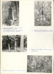 KC - Karta cmentarza, skan nr 7