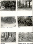 KC - Karta cmentarza, skan nr 5