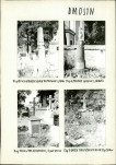 Karta cmentarza, skan nr 9